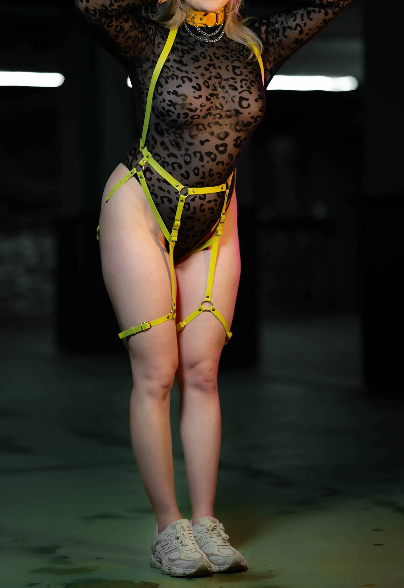 Yellow Leo