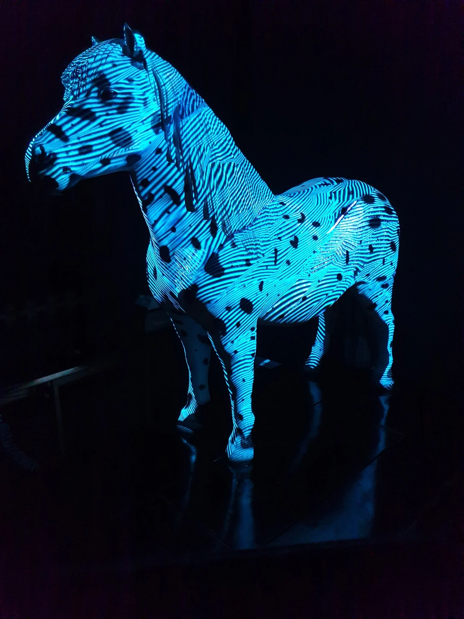 Ponyhof