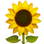 :sonnenblume: